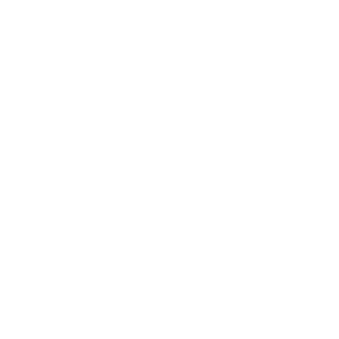 Salient Technologies